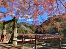 飯盛山城城山に架かる香嵐橋…