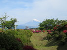 西木戸跡付近の畝掘と富士山…