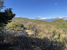 南曲輪からの善福寺曲輪と富士山