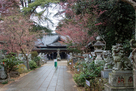 大宝八幡宮（南側から）