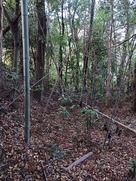 空堀跡