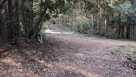 登城道