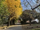 北側から見た飛鳥山公園