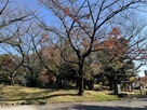 飛鳥山城跡