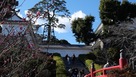 常盤木門