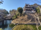 冬晴