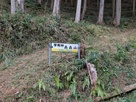 登城口