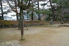 馬溜跡