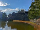 中櫓・南櫓・二の丸石垣（東側）と水堀…