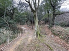 登城路