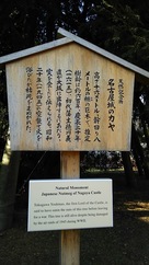 名古屋城より古い かやの木(天然記念物)…