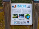馬洗池案内板