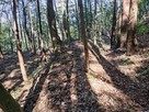 土塁