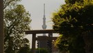 石濱神社鳥居越しに見る、現代の物見櫓…