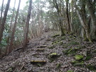 登山道