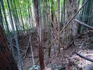2郭西側の空堀