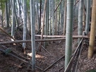 空堀