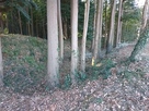 主郭北側の土塁と空堀…