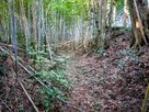 主郭と2郭を隔てる空堀…