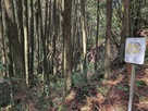 横堀