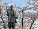 徳川家康像と桜…