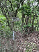 本丸