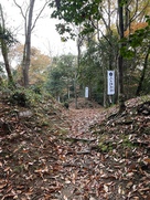 枡形虎口
