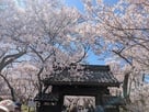 問屋門