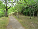 城池湖岸の曲輪跡…