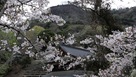 ふれあいの館と山頂（本丸）…