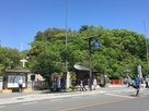 武田神社の賑わい…