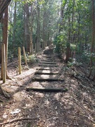 登城路