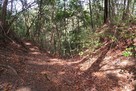 根福寺城 二重堀切 一本目…