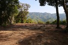 根福寺城 千畳敷…