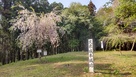 本城