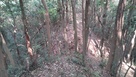 尾根道と堀切
