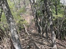 天神山城との間の堀切…