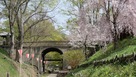 二の丸橋（けやき並木遊歩道から）…