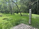 おちよ伝説桜跡地…