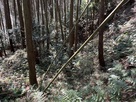 空堀