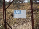 入り口