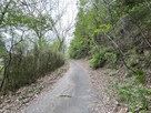 登城道の林道