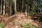 貢間城 南砦 二重堀切を横から…