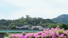対岸からの全景…
