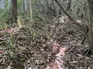 竪堀を見上げて…