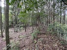 本城本丸の土塁…
