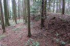 寺脇城 本曲輪北の大土塁…
