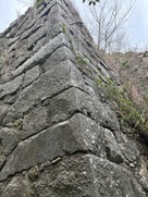 石垣(城の裏、東ノ丸跡・薬研堀跡の近く)…