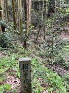 搦手門跡