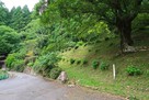 長江城 大沢寺跡経由の登り口②…